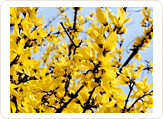 infor_image08.gif